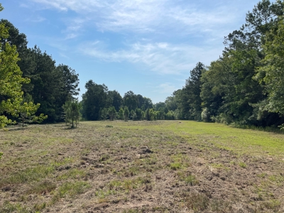 Investor Special: Charming Farmhouse in Lumberton, TX - image 25