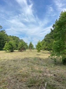 Investor Special: Charming Farmhouse in Lumberton, TX - image 27