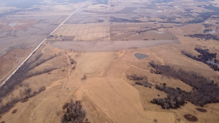 40 Acres +/- with 21.04 Acres of Tillable Ground Truro, IA - image 4