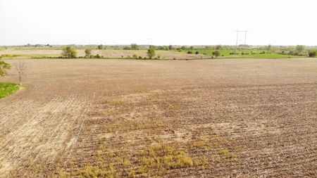 40 Acres +/- with 21.04 Acres of Tillable Ground Truro, IA - image 6