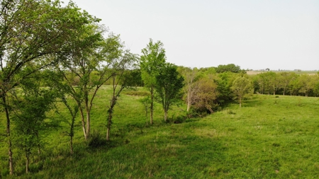 40 Acres +/- with 21.04 Acres of Tillable Ground Truro, IA - image 14