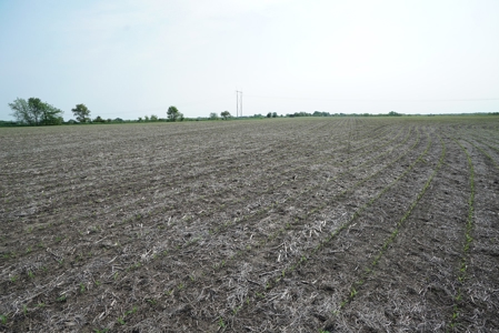 40 Acres +/- with 21.04 Acres of Tillable Ground Truro, IA - image 19