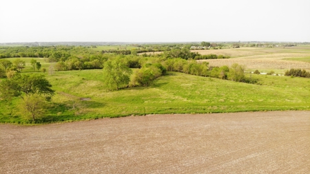 40 Acres +/- with 21.04 Acres of Tillable Ground Truro, IA - image 8