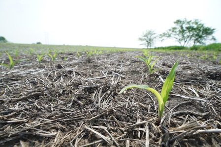 40 Acres +/- with 21.04 Acres of Tillable Ground Truro, IA - image 17