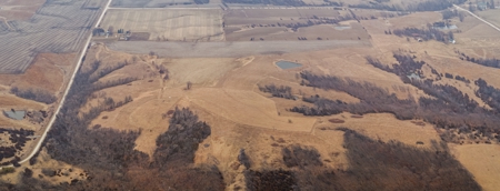 40 Acres +/- with 21.04 Acres of Tillable Ground Truro, IA - image 2