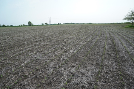 40 Acres +/- with 21.04 Acres of Tillable Ground Truro, IA - image 18