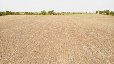 40 Acres +/- with 21.04 Acres of Tillable Ground Truro, IA - image 10