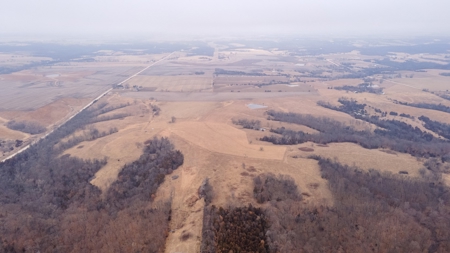 40 Acres +/- with 21.04 Acres of Tillable Ground Truro, IA - image 3