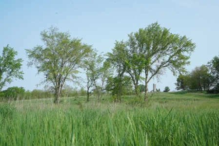 40 Acres +/- with 21.04 Acres of Tillable Ground Truro, IA - image 16
