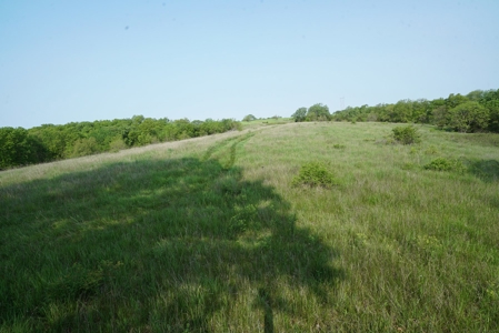 80 acres +/- and Currently Offers 9.39 Acres of Tillable Gro - image 33