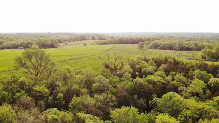 80 acres +/- and Currently Offers 9.39 Acres of Tillable Gro - image 24