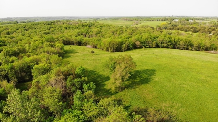 80 acres +/- and Currently Offers 9.39 Acres of Tillable Gro - image 17