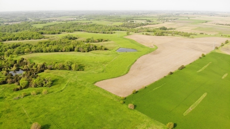 80 acres +/- and Currently Offers 9.39 Acres of Tillable Gro - image 18