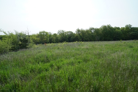 80 acres +/- and Currently Offers 9.39 Acres of Tillable Gro - image 30