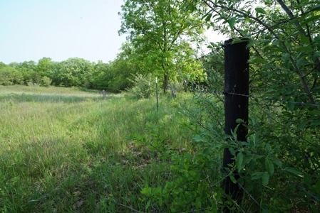 80 acres +/- and Currently Offers 9.39 Acres of Tillable Gro - image 32