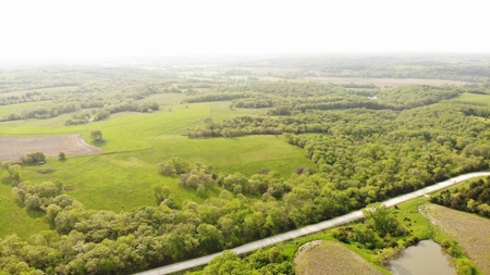 80 acres +/- and Currently Offers 9.39 Acres of Tillable Gro - image 13