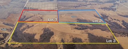 80 acres +/- and Currently Offers 9.39 Acres of Tillable Gro - image 3