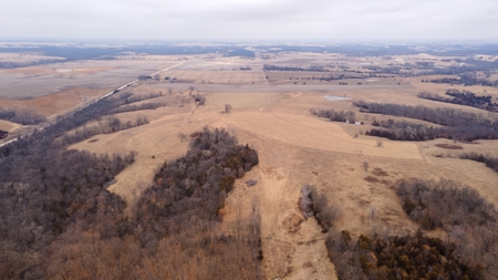 80 acres +/- and Currently Offers 9.39 Acres of Tillable Gro - image 10