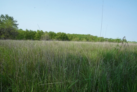 80 acres +/- and Currently Offers 9.39 Acres of Tillable Gro - image 34