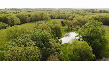 80 acres +/- and Currently Offers 9.39 Acres of Tillable Gro - image 26