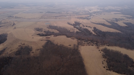 80 acres +/- and Currently Offers 9.39 Acres of Tillable Gro - image 7