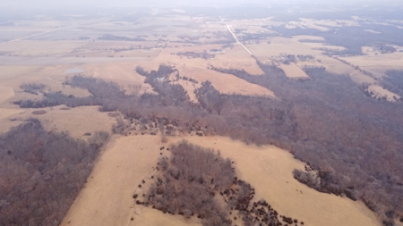 80 acres +/- and Currently Offers 9.39 Acres of Tillable Gro - image 6