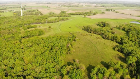 80 acres +/- and Currently Offers 9.39 Acres of Tillable Gro - image 14