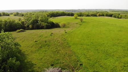 80 acres +/- and Currently Offers 9.39 Acres of Tillable Gro - image 27