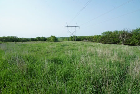 80 acres +/- and Currently Offers 9.39 Acres of Tillable Gro - image 29