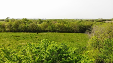 80 acres +/- and Currently Offers 9.39 Acres of Tillable Gro - image 22
