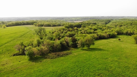 80 acres +/- and Currently Offers 9.39 Acres of Tillable Gro - image 25