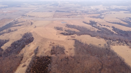 80 acres +/- and Currently Offers 9.39 Acres of Tillable Gro - image 8