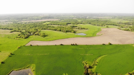 80 acres +/- and Currently Offers 9.39 Acres of Tillable Gro - image 19