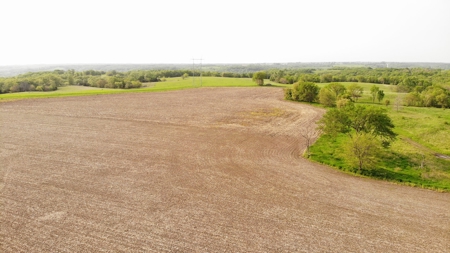80 +/-Acres in 2 lots, 41.10 Tillable Ground Truro, IA - image 12
