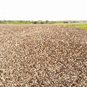 80 +/-Acres in 2 lots, 41.10 Tillable Ground Truro, IA - image 41