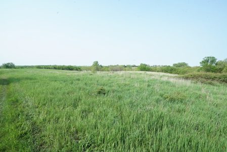 80 +/-Acres in 2 lots, 41.10 Tillable Ground Truro, IA - image 33