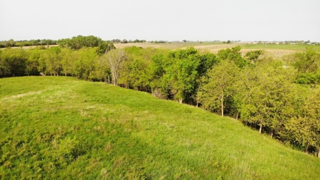 80 +/-Acres in 2 lots, 41.10 Tillable Ground Truro, IA - image 25