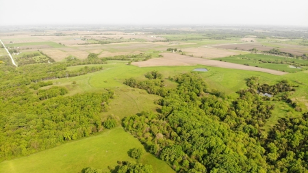 80 +/-Acres in 2 lots, 41.10 Tillable Ground Truro, IA - image 4