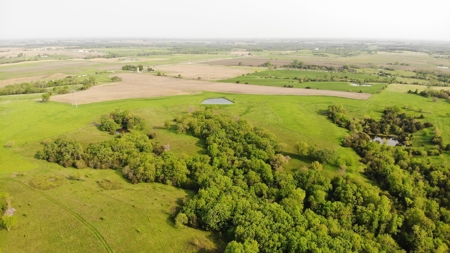 80 +/-Acres in 2 lots, 41.10 Tillable Ground Truro, IA - image 3