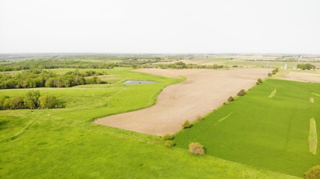 80 +/-Acres in 2 lots, 41.10 Tillable Ground Truro, IA - image 14