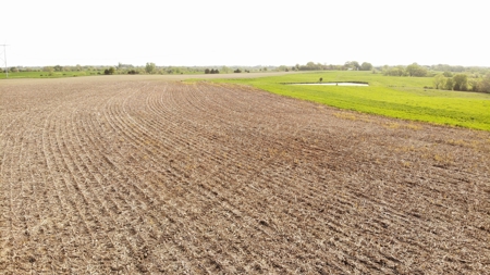80 +/-Acres in 2 lots, 41.10 Tillable Ground Truro, IA - image 8