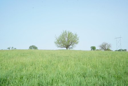 80 +/-Acres in 2 lots, 41.10 Tillable Ground Truro, IA - image 35