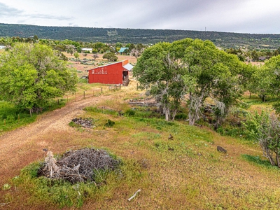 Historic Home For Sale In Cedaredge, Colorado - image 46