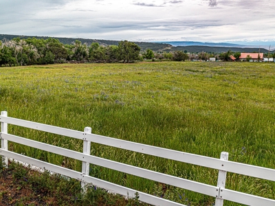 Historic Home For Sale In Cedaredge, Colorado - image 45