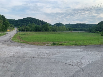 Acreage for Sale on Hwy 90 in Cumberland County, KY - image 6