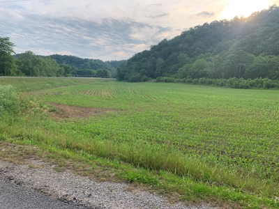 Acreage for Sale on Hwy 90 in Cumberland County, KY - image 1