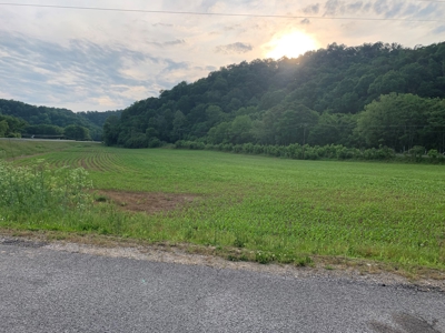 Acreage for Sale on Hwy 90 in Cumberland County, KY - image 4