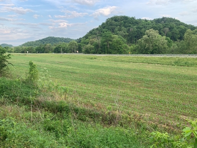 Acreage for Sale on Hwy 90 in Cumberland County, KY - image 12