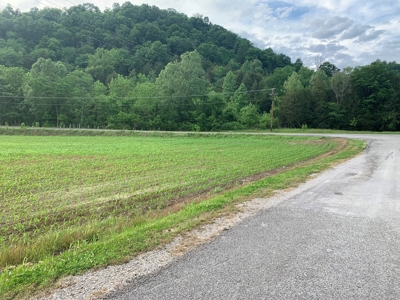 Acreage for Sale on Hwy 90 in Cumberland County, KY - image 3