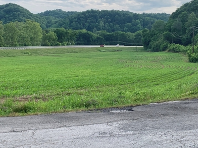 Acreage for Sale on Hwy 90 in Cumberland County, KY - image 7
